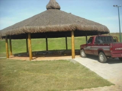 Piaçava.jpg